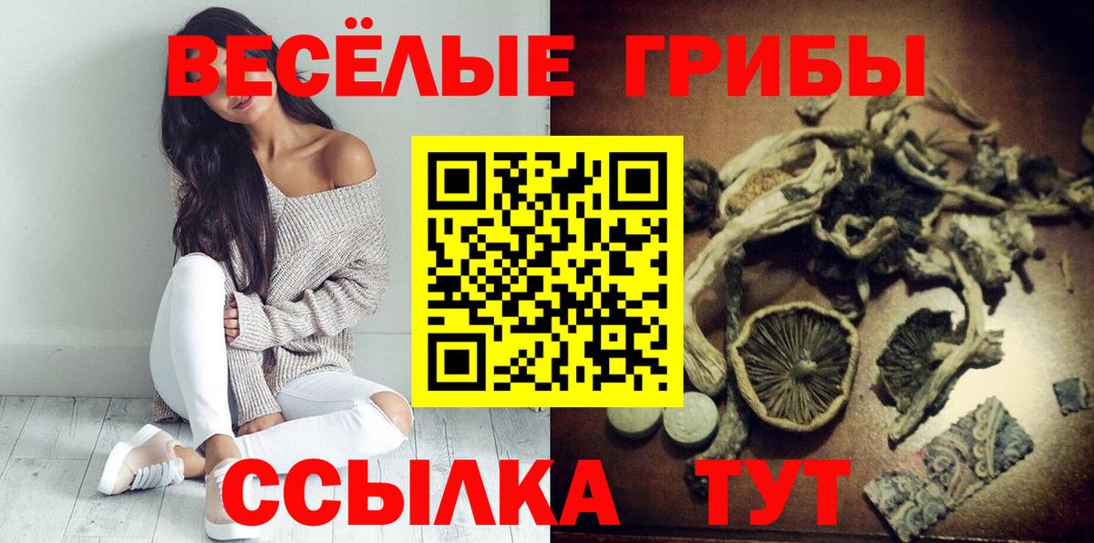 Кострома  купить наркоту  Вход с VPN  Галлюциногенные грибы Magic Shrooms  Галлюциногенные грибы Magic Shrooms 